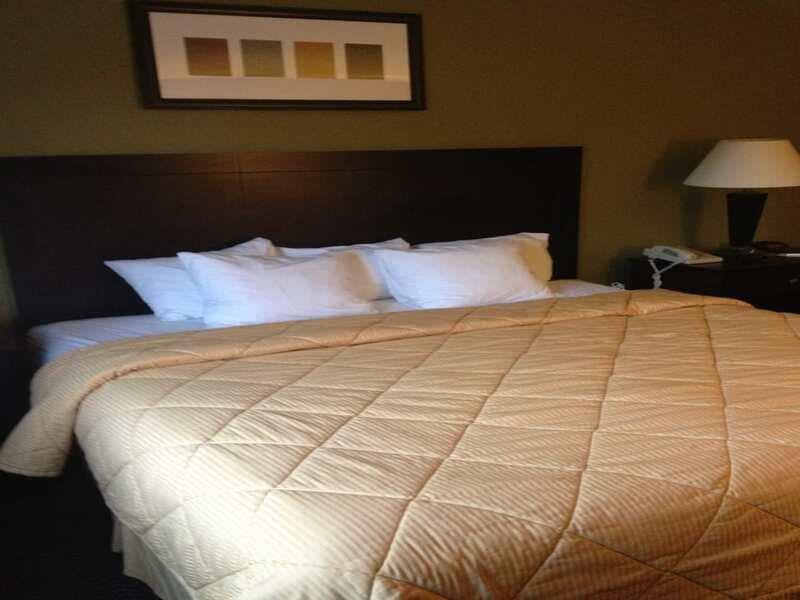 Quality Inn West Plano - Dallas Exteriör bild